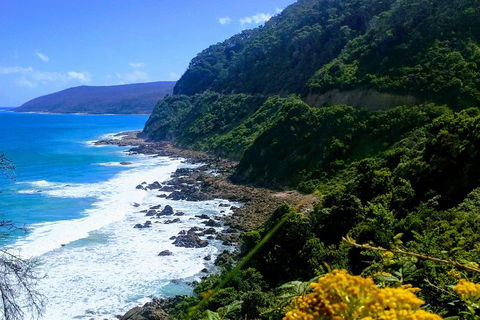 Great Ocean Road Adventure - Private Tour - Reverse - Hotel Gold Coast 3