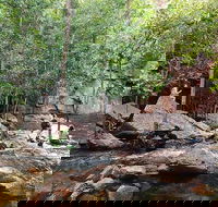 Ethical Adventures - Best in the WET - Litchfield / Kakadu 3 Day- max 10 guests - Hotel Gold Coast