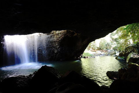 Rainforest & Waterfalls Extravaganza - Hotel Gold Coast 0