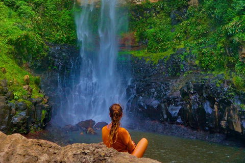 Rainforest & Waterfalls Extravaganza - Hotel Gold Coast 2