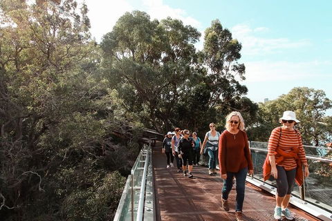 Highlights Of Kings Park - Hotel Gold Coast 3