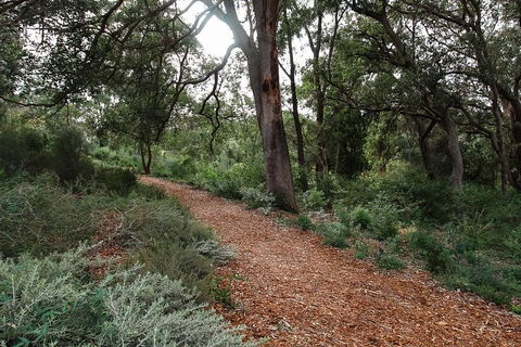 Highlights Of Kings Park - Hotel Gold Coast 5