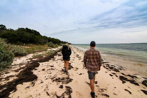 Phillip Island And French Island Wildlife Expedition - Hotel Gold Coast 1