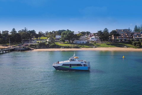 Phillip Island And French Island Wildlife Expedition - Hotel Gold Coast 2