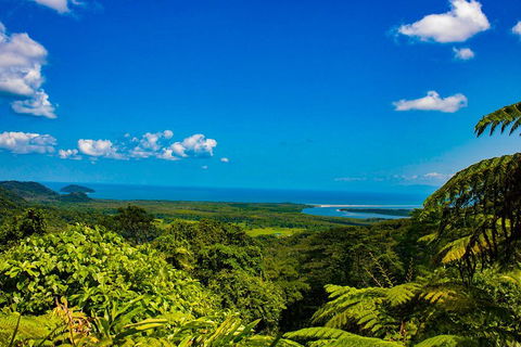 Cape Tribulation Day Tour - Hotel Gold Coast 3