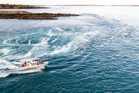 Giant Tides Tour - Cygnet Bay Pearl Farm - Hotel Gold Coast 4