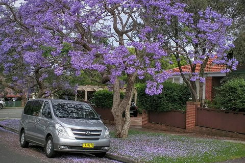 Sydney Secrets & Bondi Beach Private 4 Hr Morning With Personalised Sydney Tours - Hotel Gold Coast 0