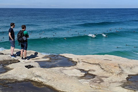 Sydney Secrets & Bondi Beach Private 4 Hr Morning With Personalised Sydney Tours - Hotel Gold Coast 2