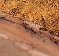 Scenic Flight Lizard Safari - Hotel Gold Coast