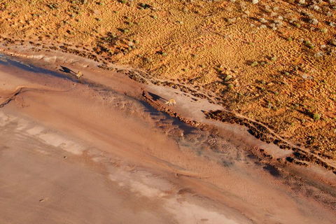Scenic Flight: Lizard Safari - Hotel Gold Coast 0