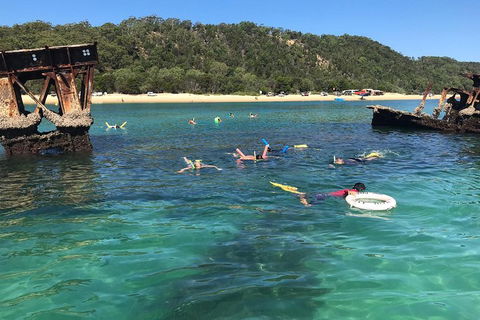 All Inclusive Dolphin And Tangalooma Wrecks Cruise - Hotel Gold Coast 0