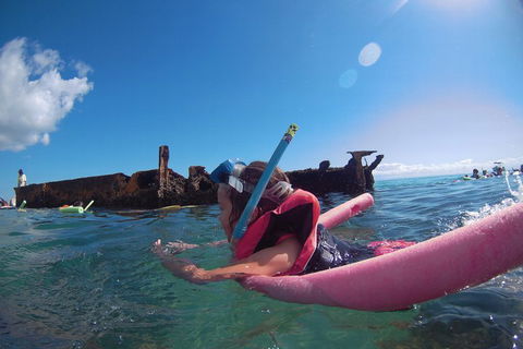 All Inclusive Dolphin And Tangalooma Wrecks Cruise - Hotel Gold Coast 2