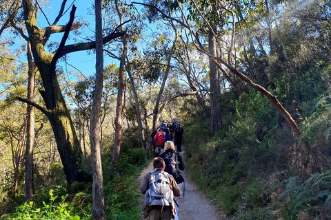 Self-Guided Waterfall Gully To Mount Lofty Hike From Adelaide - Hotel Gold Coast 1