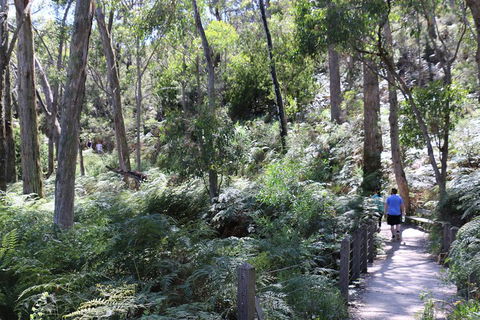 Self-Guided Waterfall Gully To Mount Lofty Hike From Adelaide - Hotel Gold Coast 2