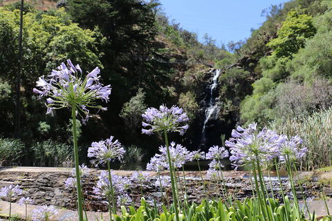 Self-Guided Waterfall Gully To Mount Lofty Hike From Adelaide - Hotel Gold Coast 3