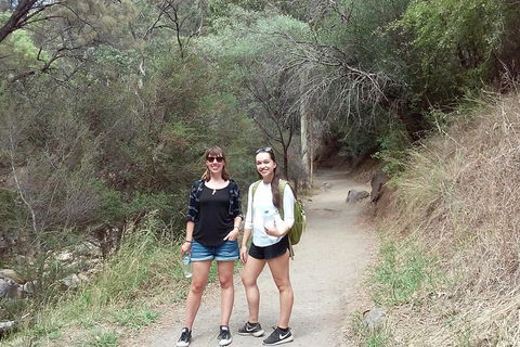 Self-Guided Waterfall Gully To Mount Lofty Hike From Adelaide - Hotel Gold Coast 4