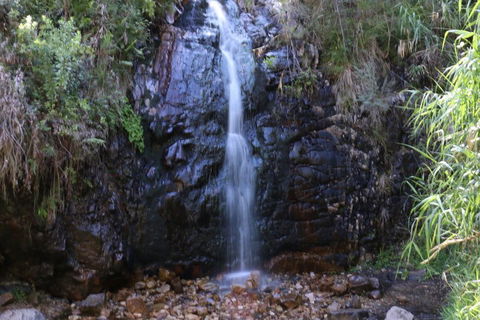 Self-Guided Waterfall Gully To Mount Lofty Hike From Adelaide - Hotel Gold Coast 5