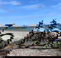 Adelaide City to Sea Bike Tour - Hotel Gold Coast