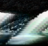 Natural Bridge Glow Worm Night Tour from Gold Coast - Hotel Gold Coast