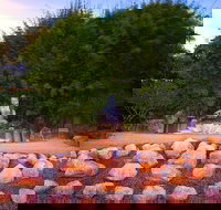 Byron Bay and the Crystal Castle Day Tour from Gold Coast - Hotel Gold Coast