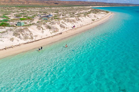 Ningaloo In A Day - Full Day Hike And Snorkel Tour With Lunch - Hotel Gold Coast 0