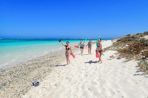 Ningaloo In A Day - Full Day Hike And Snorkel Tour With Lunch - Hotel Gold Coast 1
