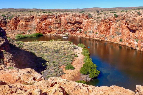 Ningaloo In A Day - Full Day Hike And Snorkel Tour With Lunch - Hotel Gold Coast 2