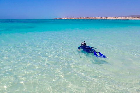 Ningaloo In A Day - Full Day Hike And Snorkel Tour With Lunch - Hotel Gold Coast 4