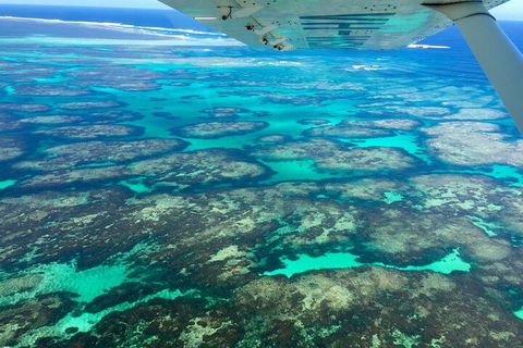 Shipwreck Special Full Day Tour Of The Abrolhos Islands - Hotel Gold Coast 1