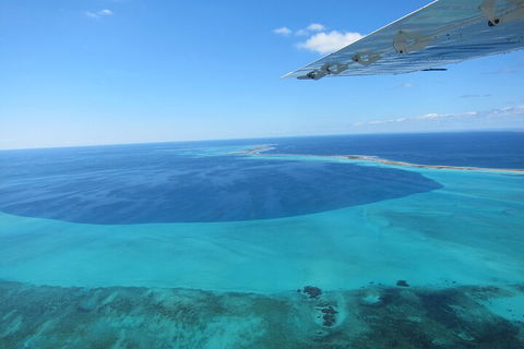 Shipwreck Special Full Day Tour Of The Abrolhos Islands - Hotel Gold Coast 2