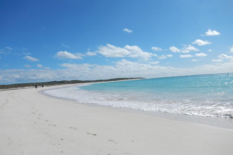 Shipwreck Special Nature Tour/Half Day Tour - Hotel Gold Coast 0