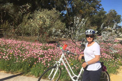 Perth Bike Tour - Beautiful Matilda Bay And Kings Park - Hotel Gold Coast 1