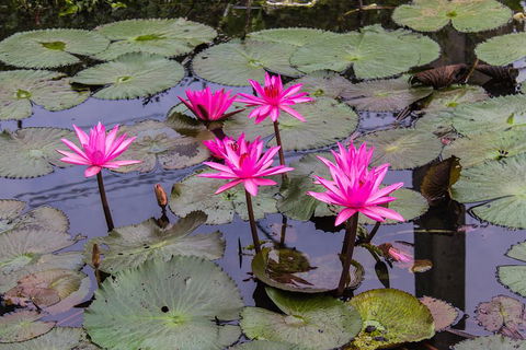 Kakadu, Nourlangie And Yellow Waters Tour From Darwin - Hotel Gold Coast 1