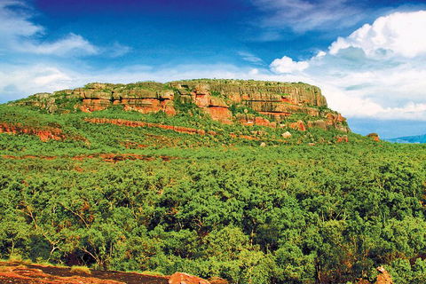 Kakadu, Nourlangie And Yellow Waters Tour From Darwin - Hotel Gold Coast 3