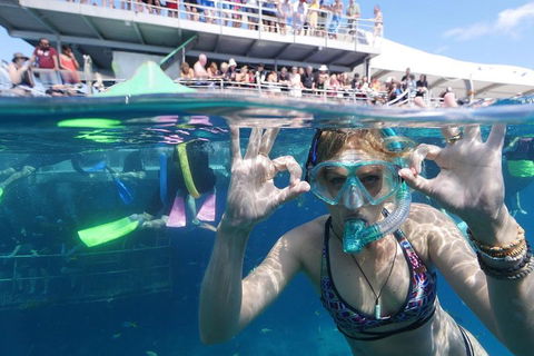 Great Barrier Reef Day Cruise From Cairns Including Snorkeling And Marine Biologist Presentation - Hotel Gold Coast 0