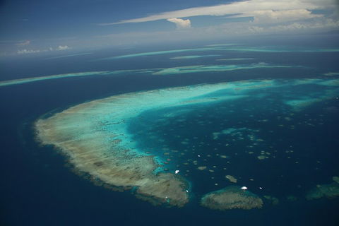 Great Barrier Reef Day Cruise From Cairns Including Snorkeling And Marine Biologist Presentation - Hotel Gold Coast 1