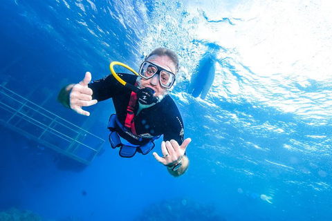 Great Barrier Reef Day Cruise From Cairns Including Snorkeling And Marine Biologist Presentation - Hotel Gold Coast 3
