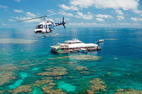 Great Barrier Reef Day Cruise From Cairns Including Snorkeling And Marine Biologist Presentation - Hotel Gold Coast 5
