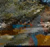 Kayak Tour in Adelaide Dolphin Sanctuary - Hotel Gold Coast