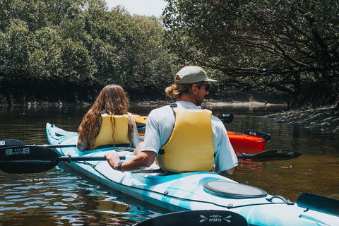 Kayak Tour In Adelaide Dolphin Sanctuary - Hotel Gold Coast 2