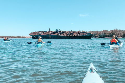 Kayak Tour In Adelaide Dolphin Sanctuary - Hotel Gold Coast 3