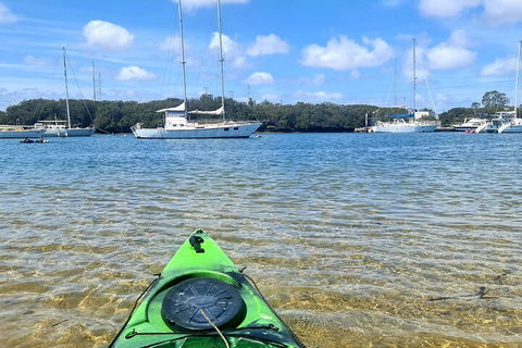 Kayak Tour In Adelaide Dolphin Sanctuary - Hotel Gold Coast 4