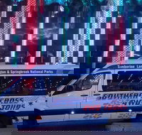 Evening Rainforest  Glow Worm Experience - Hotel Gold Coast