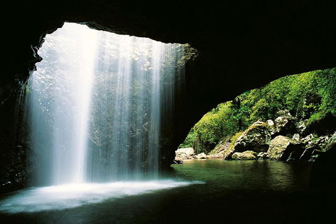 Natural Bridge & Springbrook Waterfalls Tour - Hotel Gold Coast 0