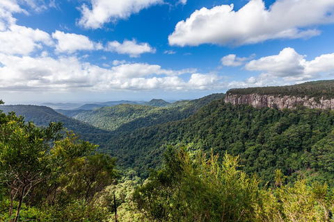 Natural Bridge & Springbrook Waterfalls Tour - Hotel Gold Coast 1