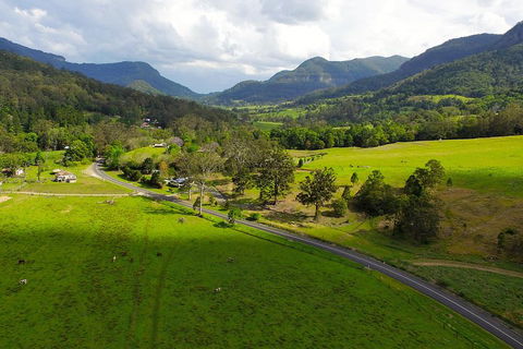 Natural Bridge & Springbrook Waterfalls Tour - Hotel Gold Coast 2