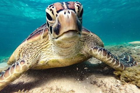 Sail, Snorkel, SUP & Kayak Charter Whitsundays - Hotel Gold Coast 0