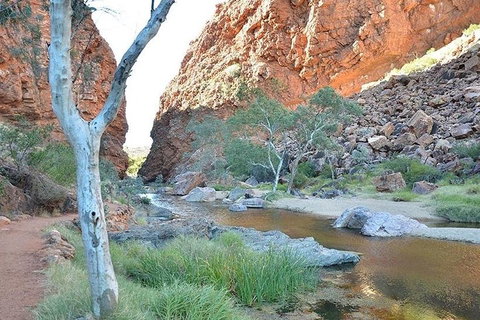 Alice Springs, Uluru Ayers Rock & Kings Canyon 8 Days Touring Package - Hotel Gold Coast 2