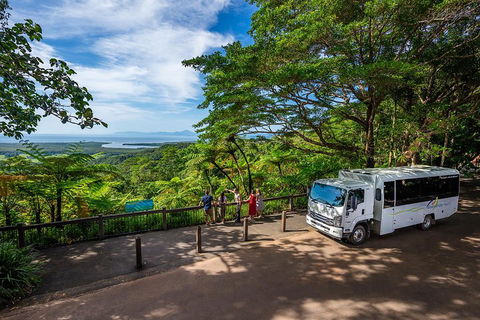 Daintree And Cape Tribulation Tour From Cairns - Hotel Gold Coast 3