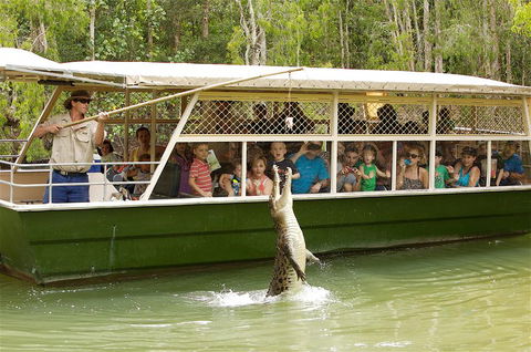 Hartley's Crocodile Adventure Half-Day Tour - Hotel Gold Coast 0